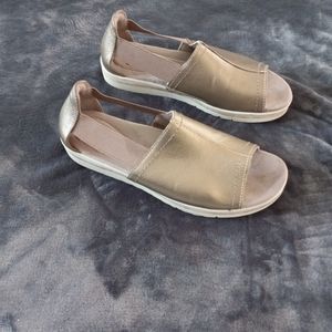 Earth Origins, size 11m, metallic